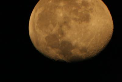 img_7262.jpg
